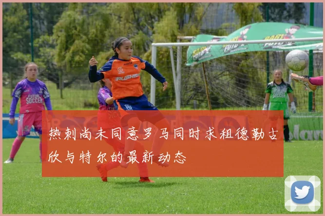 热刺尚未同意罗马同时求租德勒古欣与特尔的最新动态