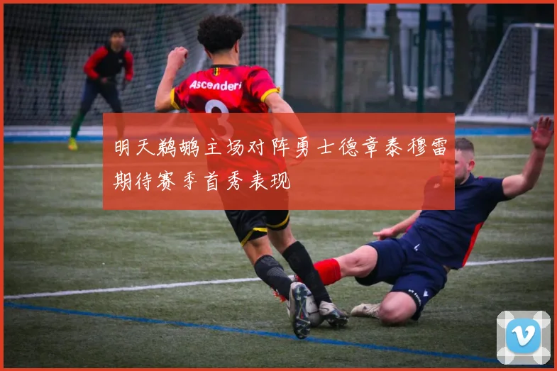 明天鹈鹕主场对阵勇士德章泰穆雷期待赛季首秀表现