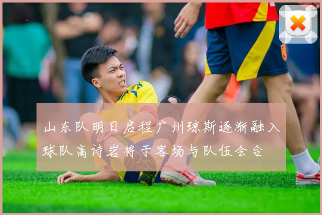 山东队明日启程广州琼斯逐渐融入球队高诗岩将于客场与队伍会合