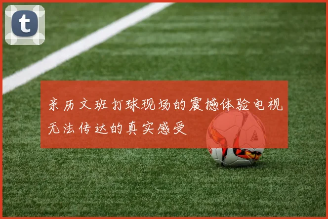 亲历文班打球现场的震撼体验电视无法传达的真实感受