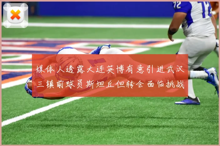 媒体人透露大连英博有意引进武汉三镇前球员斯坦丘但转会面临挑战