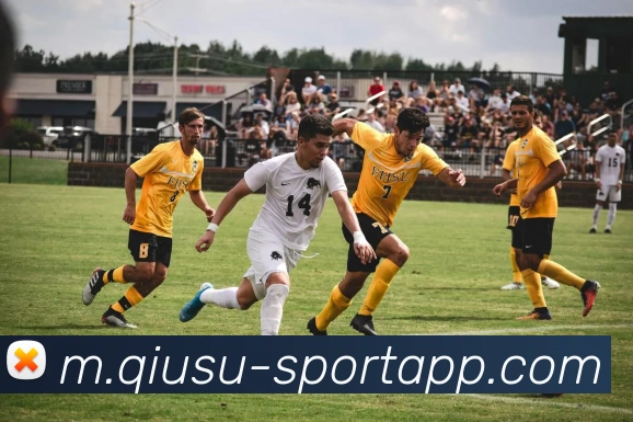 球速体育平台生态图